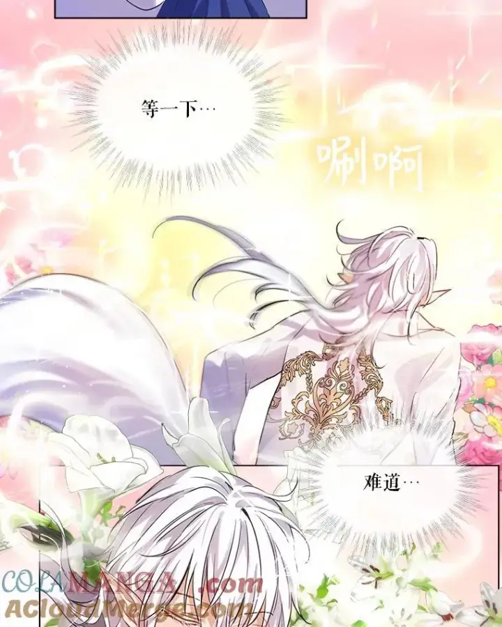 《重生为神兽宝宝》0.序章图105