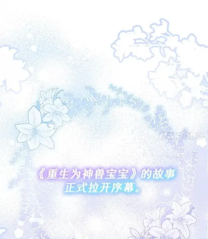 《重生为神兽宝宝》0.序章图135
