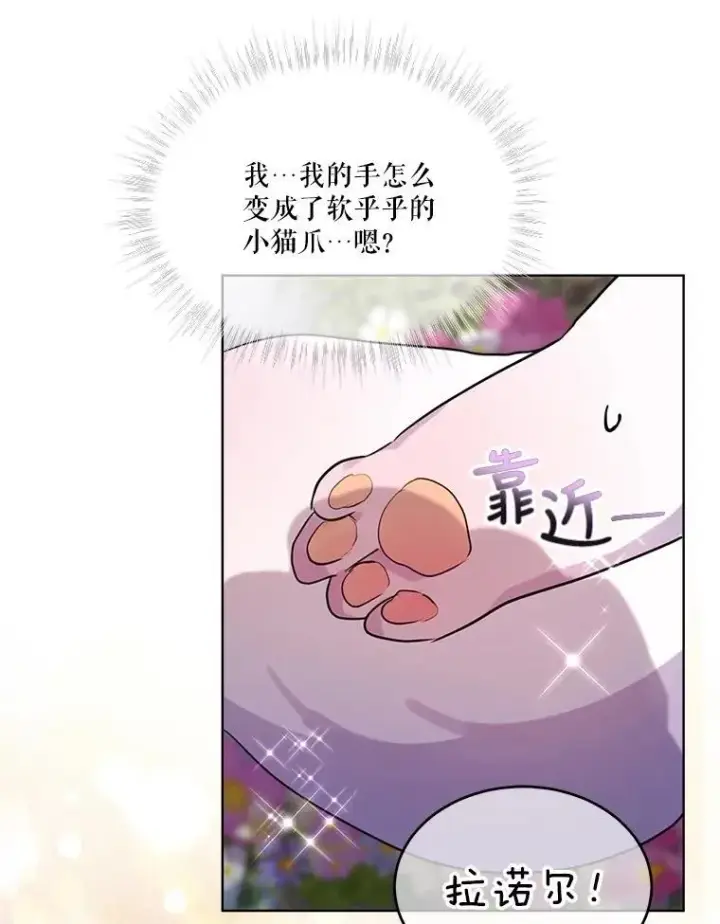 《重生为神兽宝宝》0.序章图98