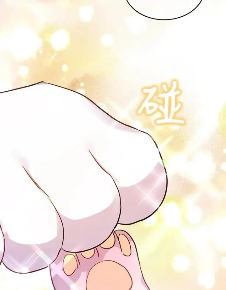 《重生为神兽宝宝》0.序章图99