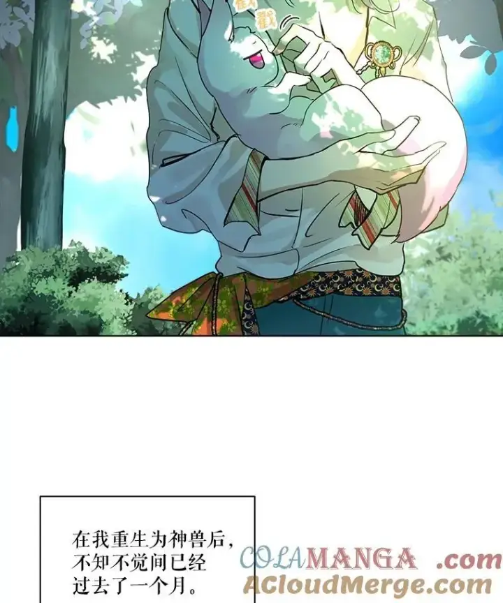 《重生为神兽宝宝》1.重生成神兽图10