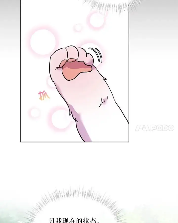 《重生为神兽宝宝》1.重生成神兽图50