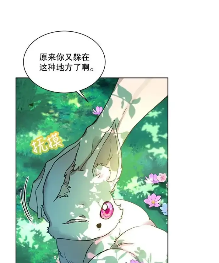 《重生为神兽宝宝》1.重生成神兽图8