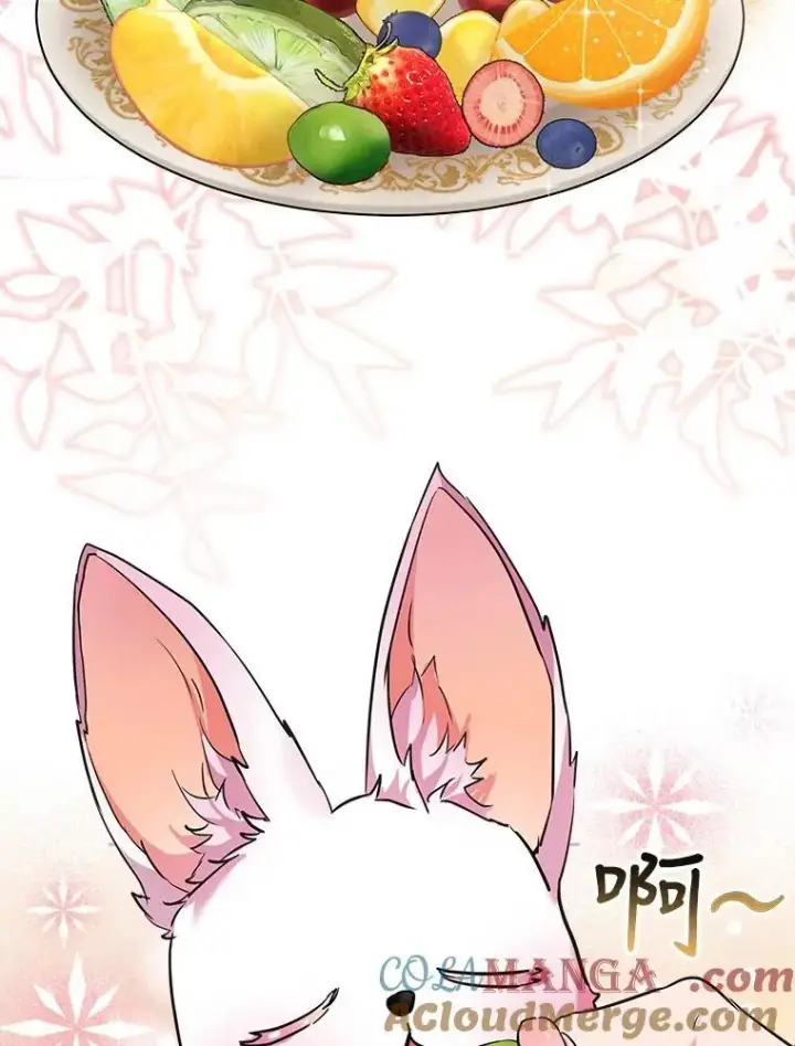 《重生为神兽宝宝》2.人界图34
