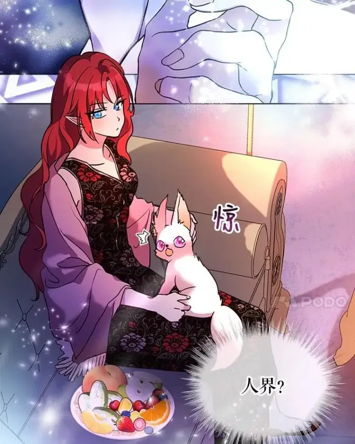 《重生为神兽宝宝》2.人界图38