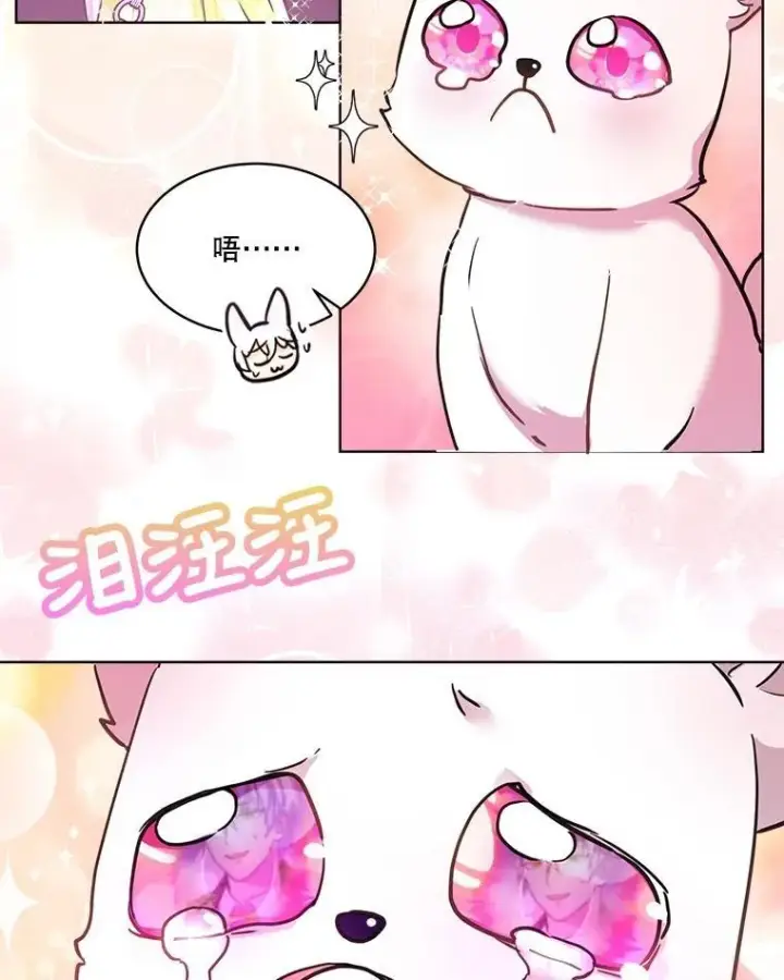 《重生为神兽宝宝》2.人界图56