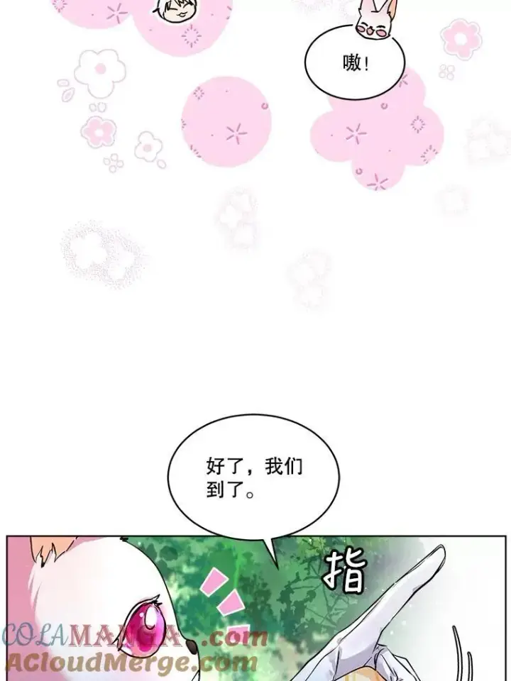 《重生为神兽宝宝》2.人界图79