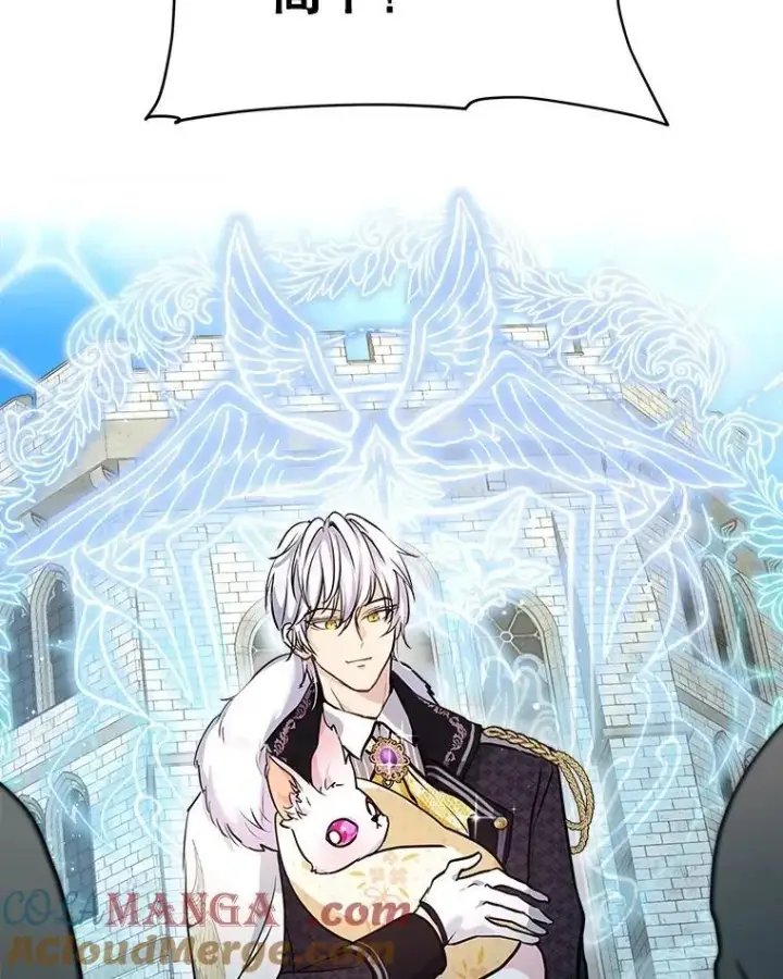 《重生为神兽宝宝》3.魔法师图13