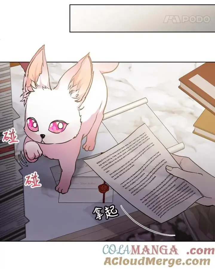 《重生为神兽宝宝》3.魔法师图40