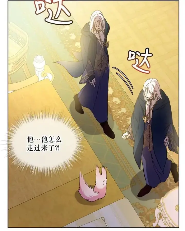《重生为神兽宝宝》3.魔法师图78