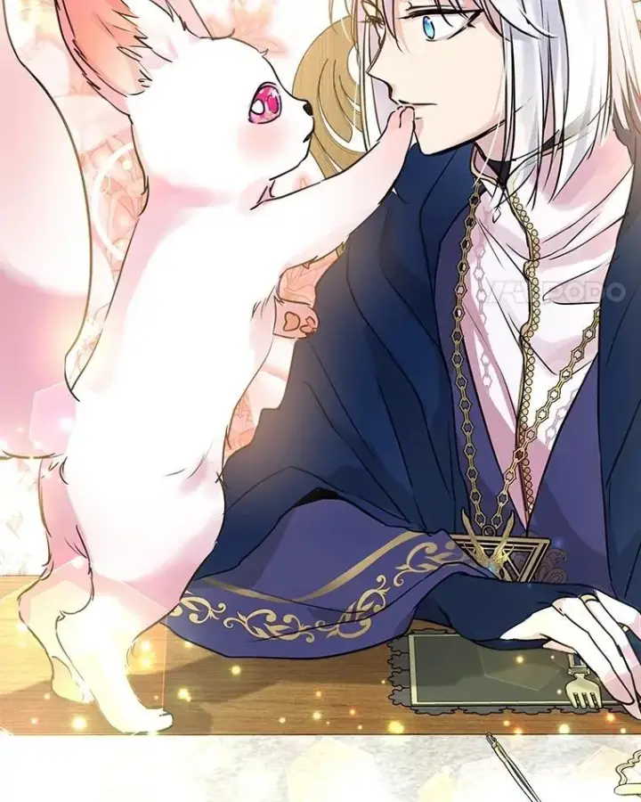 漫画《重生为神兽宝宝》6.佩伊兰第14张图