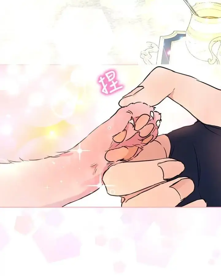 漫画《重生为神兽宝宝》6.佩伊兰第15张图