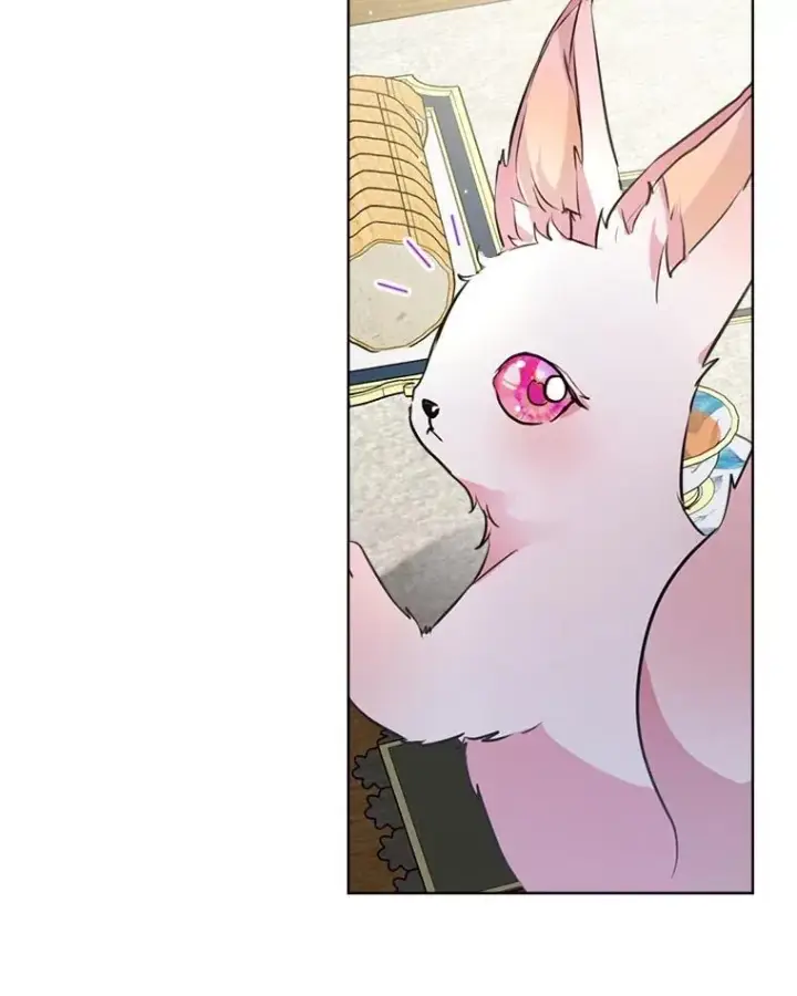 漫画《重生为神兽宝宝》6.佩伊兰第23张图