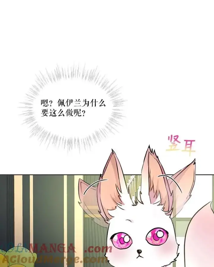 漫画《重生为神兽宝宝》6.佩伊兰第88张图