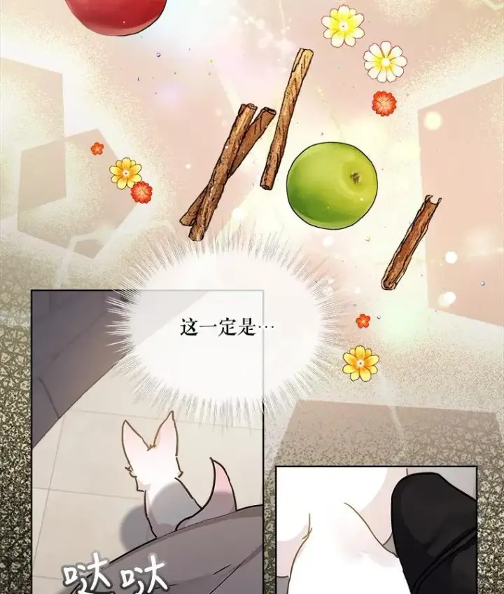 漫画《重生为神兽宝宝》8.人形化第18张图