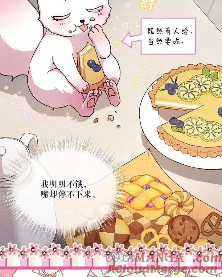 漫画《重生为神兽宝宝》8.人形化第28张图