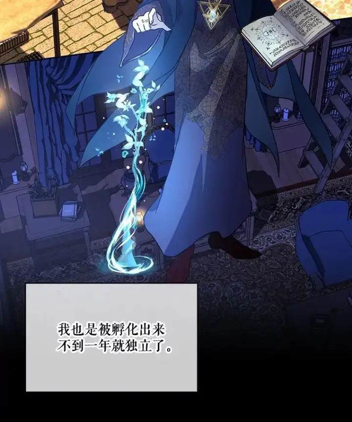 《重生为神兽宝宝》9.进宫图17