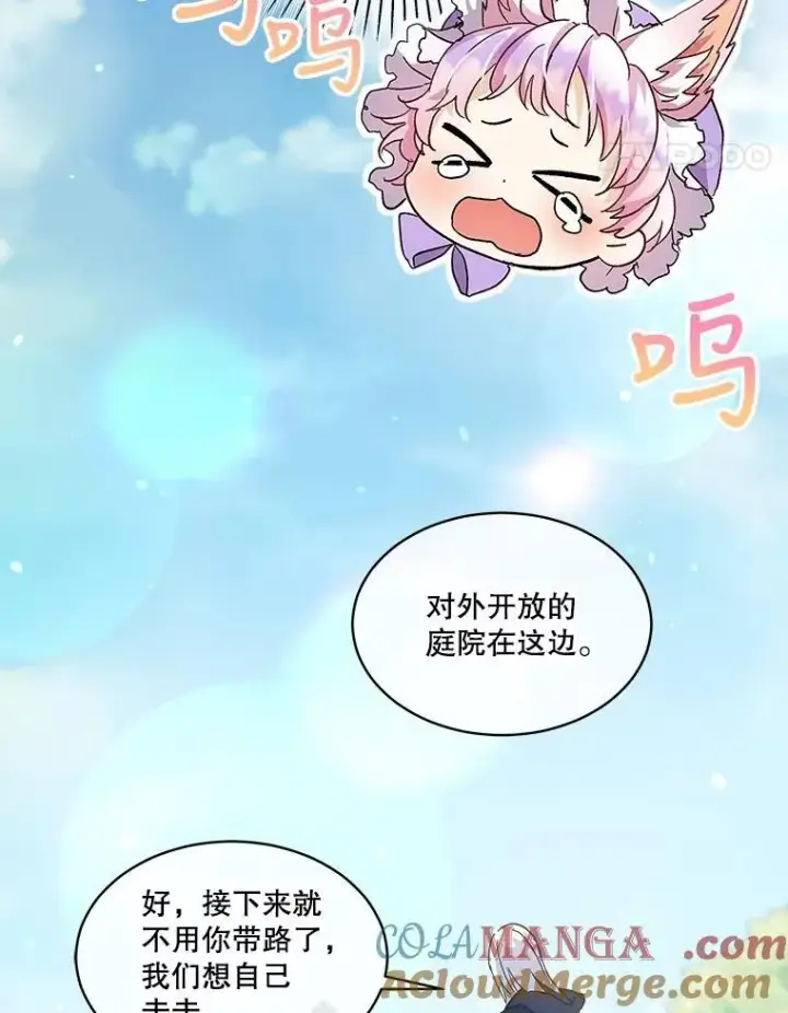 《重生为神兽宝宝》9.进宫图43