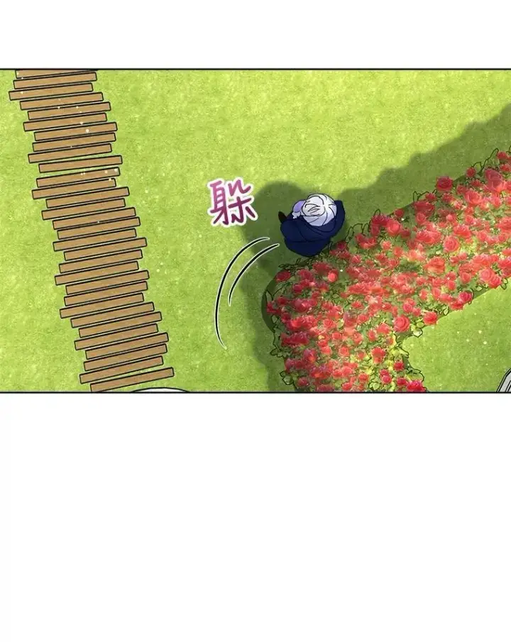 《重生为神兽宝宝》9.进宫图48