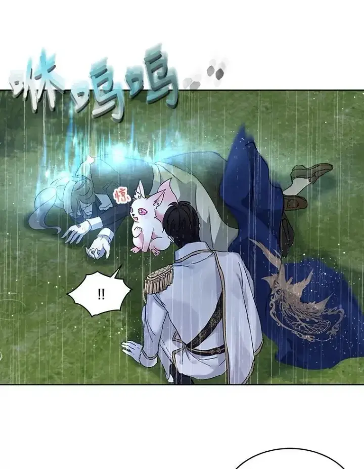 漫画《重生为神兽宝宝》10.相救第39张图