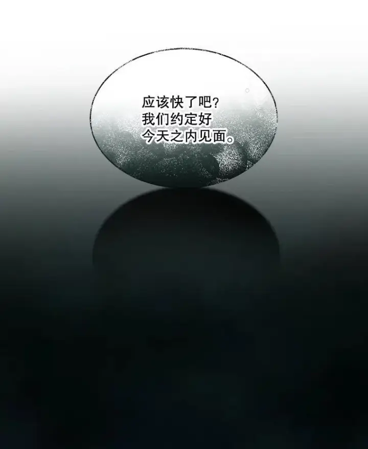 《重生为神兽宝宝》12.大司祭图82