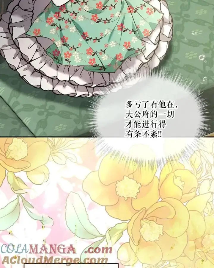 《重生为神兽宝宝》17.塞里亚到来图17