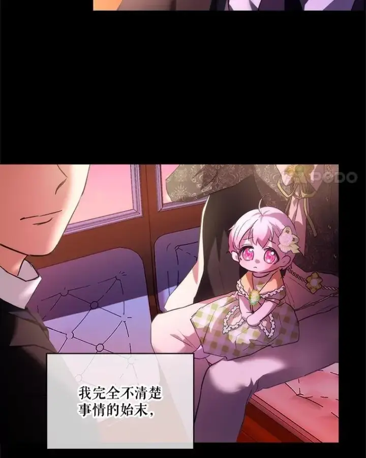 《重生为神兽宝宝》17.塞里亚到来图4