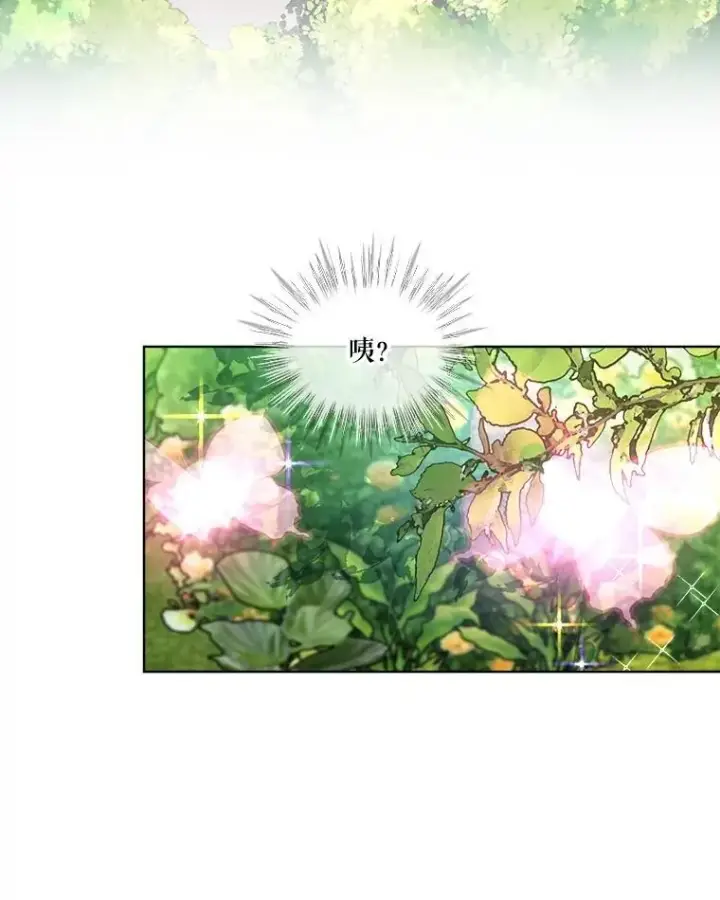 《重生为神兽宝宝》25.精灵图39