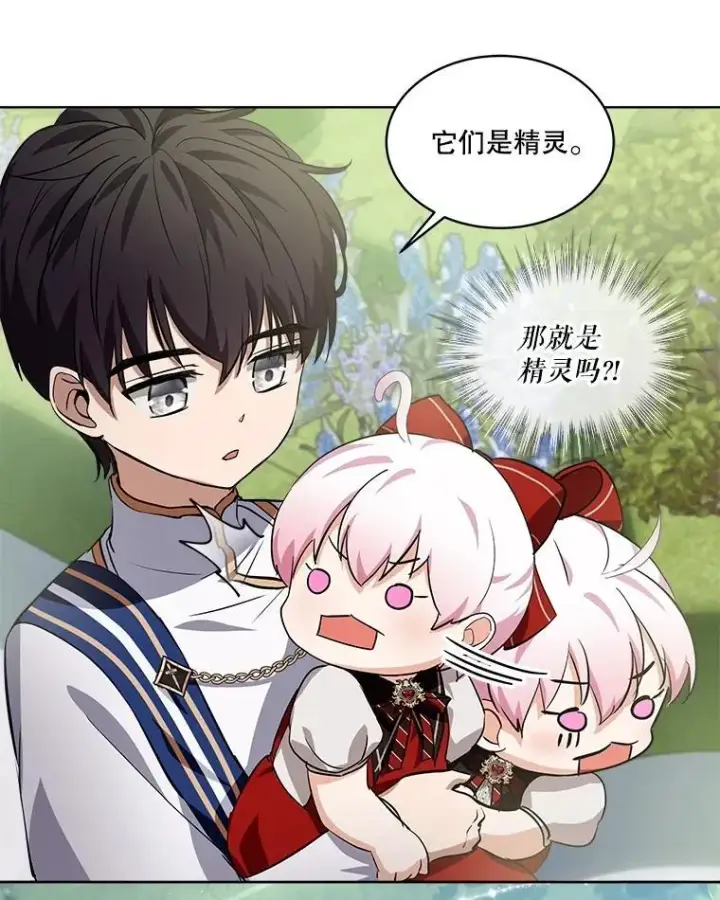《重生为神兽宝宝》25.精灵图44