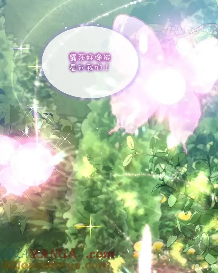 《重生为神兽宝宝》25.精灵图45