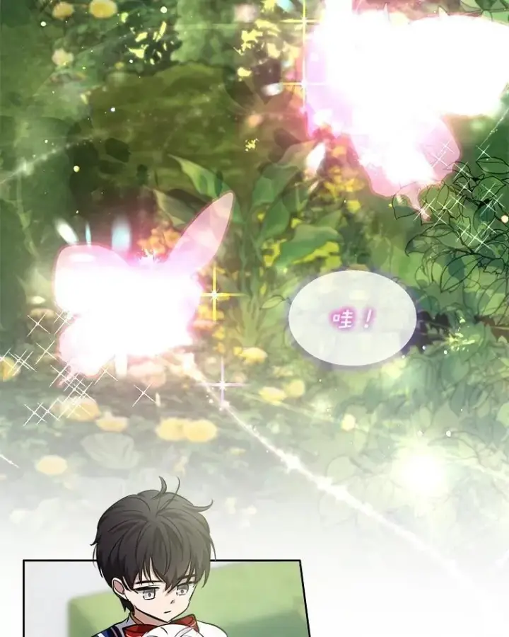 《重生为神兽宝宝》25.精灵图46
