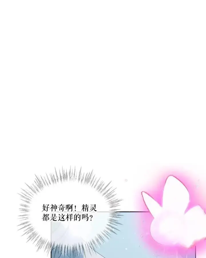 《重生为神兽宝宝》25.精灵图67