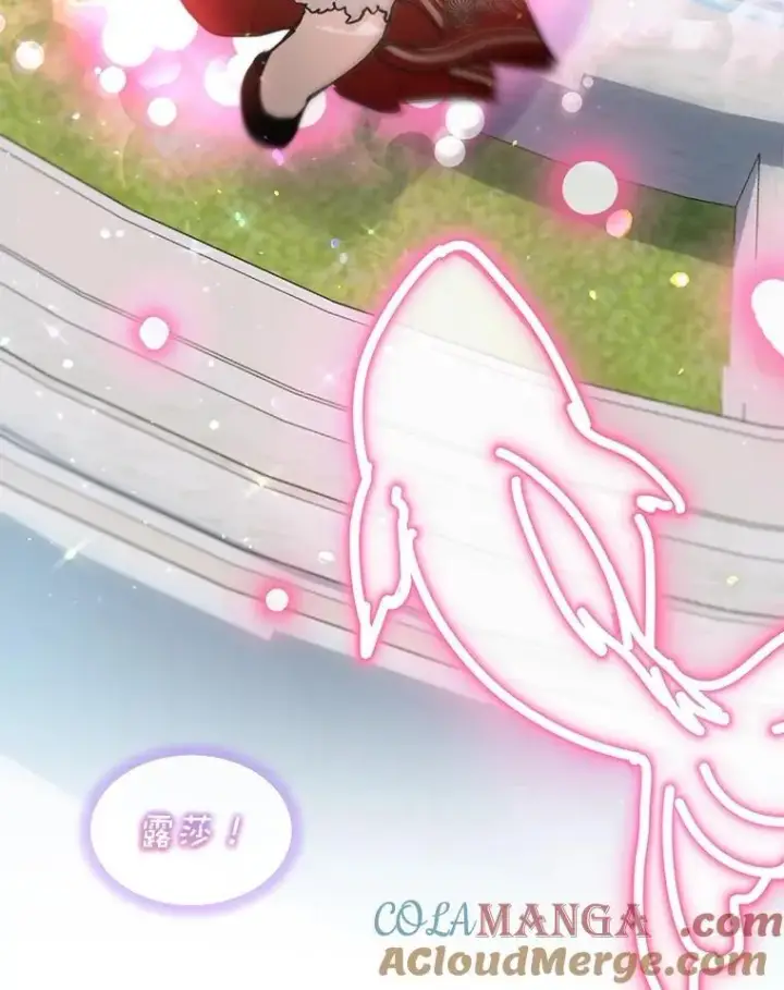 《重生为神兽宝宝》25.精灵图77