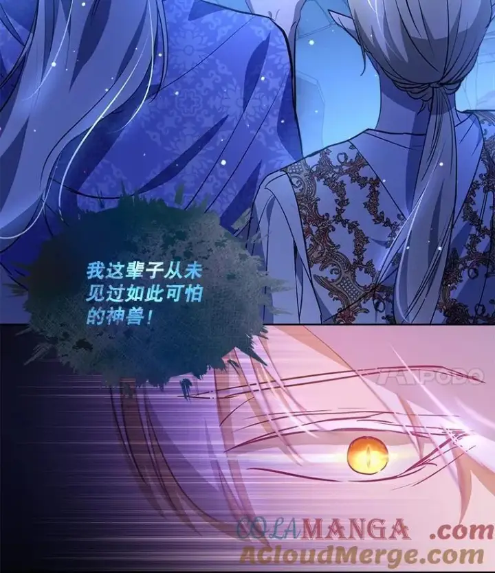 漫画《重生为神兽宝宝》26.教皇第4张图
