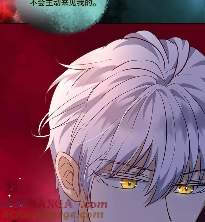 漫画《重生为神兽宝宝》26.教皇第58张图