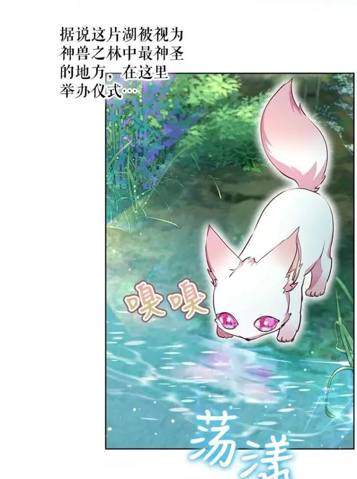《重生为神兽宝宝》30.控制道具图55