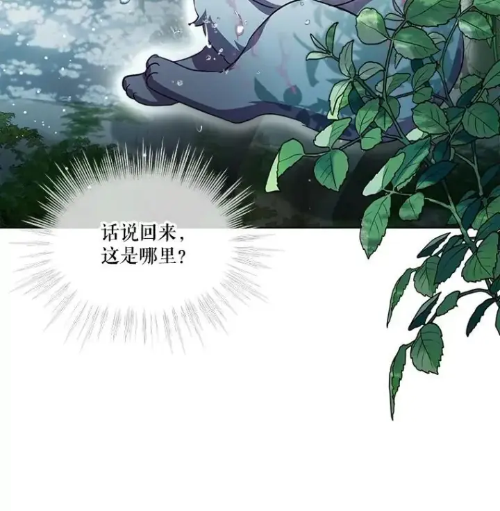 漫画《重生为神兽宝宝》33.巴希拉第12张图