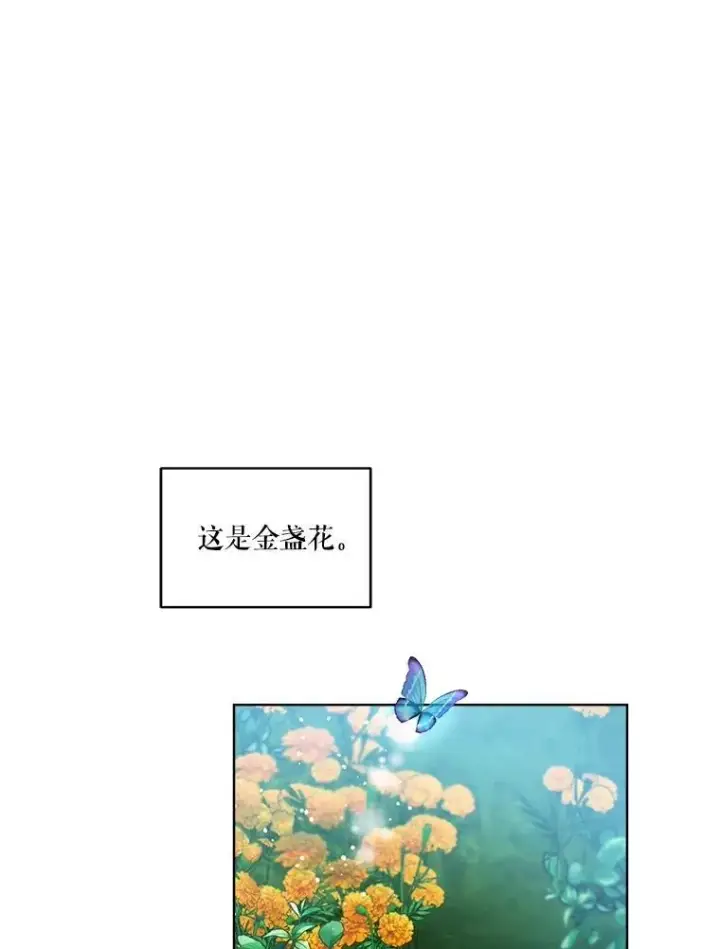 漫画《重生为神兽宝宝》33.巴希拉第18张图