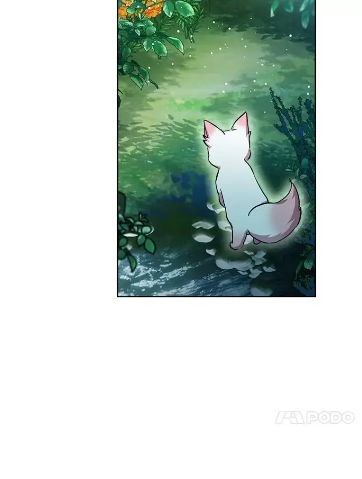 漫画《重生为神兽宝宝》33.巴希拉第19张图