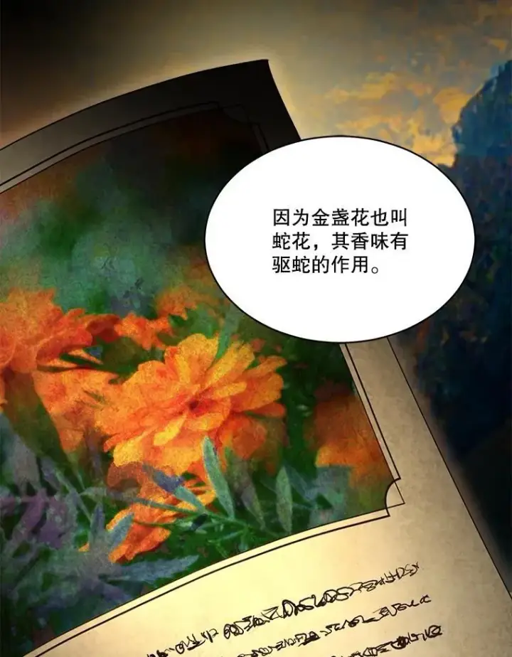 漫画《重生为神兽宝宝》33.巴希拉第28张图