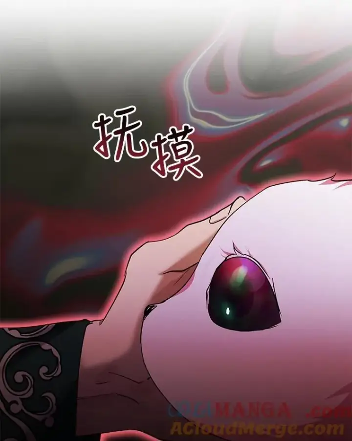 漫画《重生为神兽宝宝》33.巴希拉第45张图
