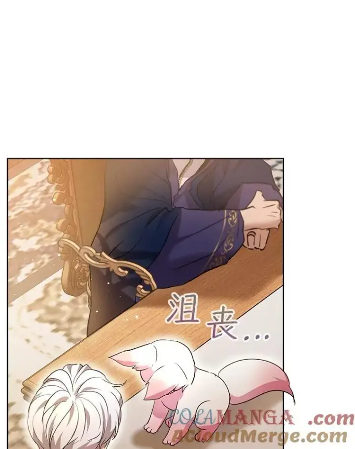 《重生为神兽宝宝》34.往事图101