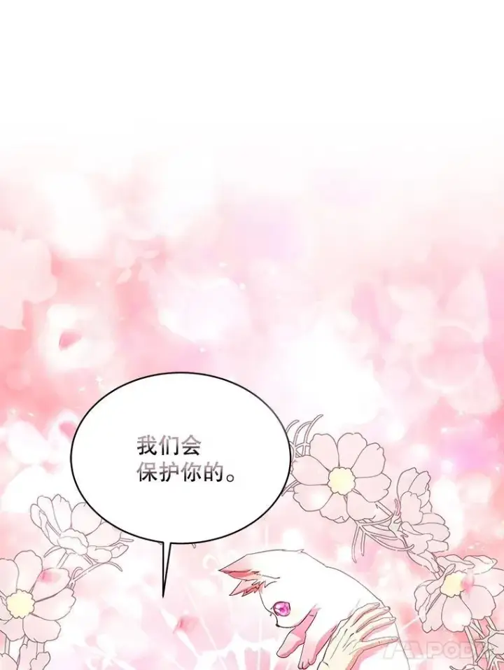 《重生为神兽宝宝》34.往事图104
