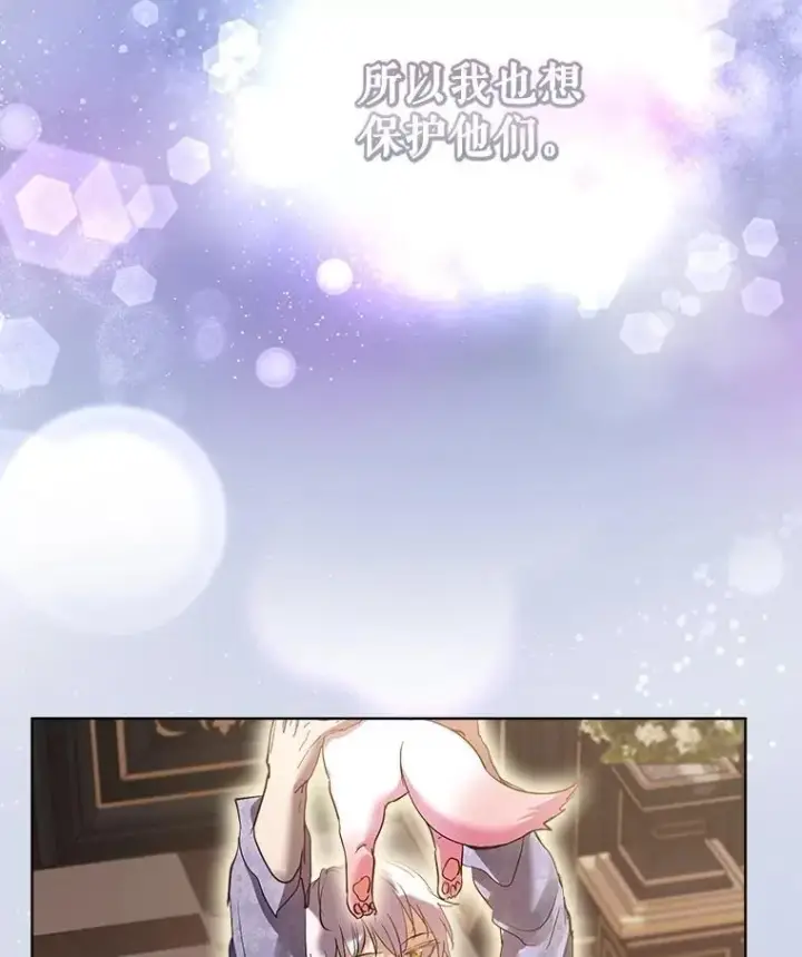 《重生为神兽宝宝》34.往事图112