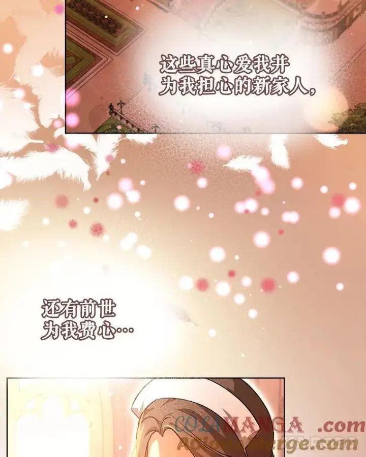 《重生为神兽宝宝》34.往事图121