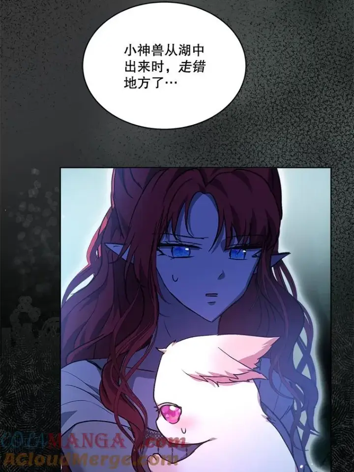 《重生为神兽宝宝》34.往事图21