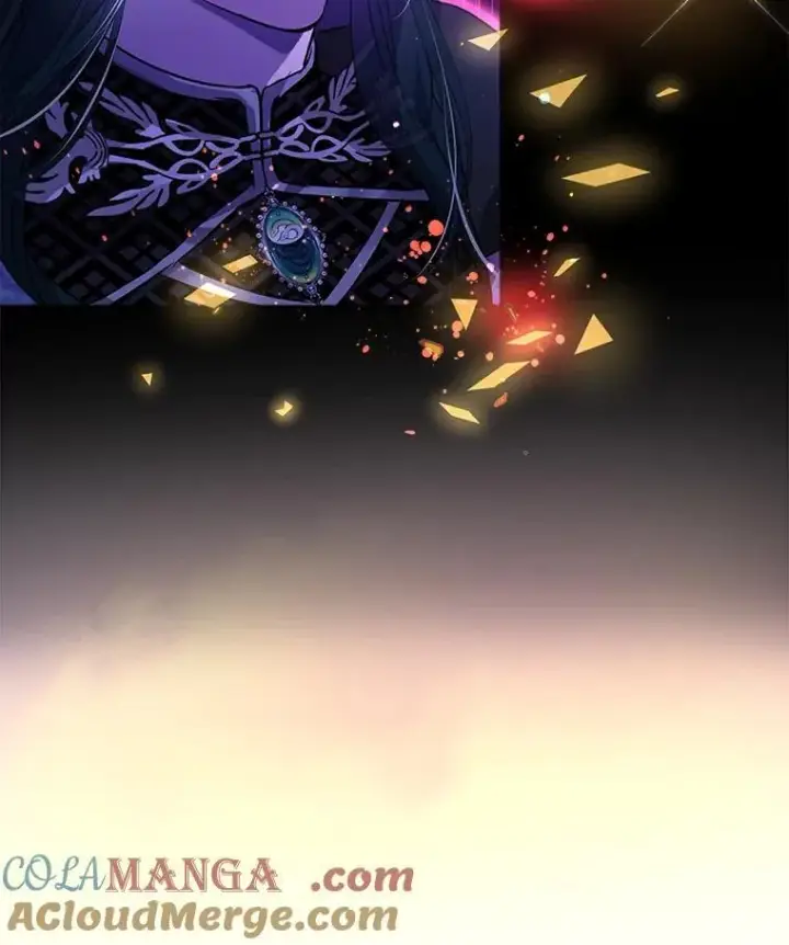 《重生为神兽宝宝》34.往事图25