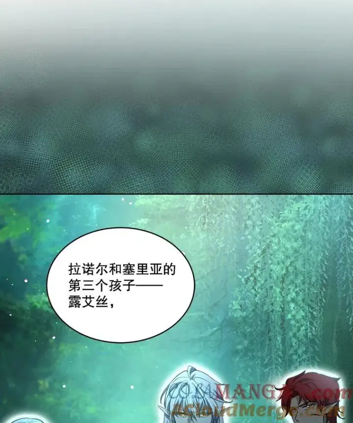《重生为神兽宝宝》34.往事图29