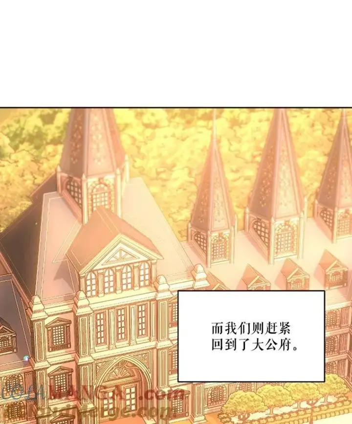 《重生为神兽宝宝》34.往事图37