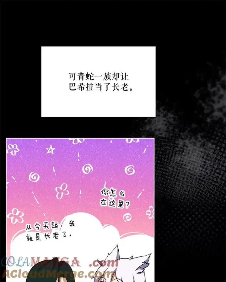 《重生为神兽宝宝》34.往事图45